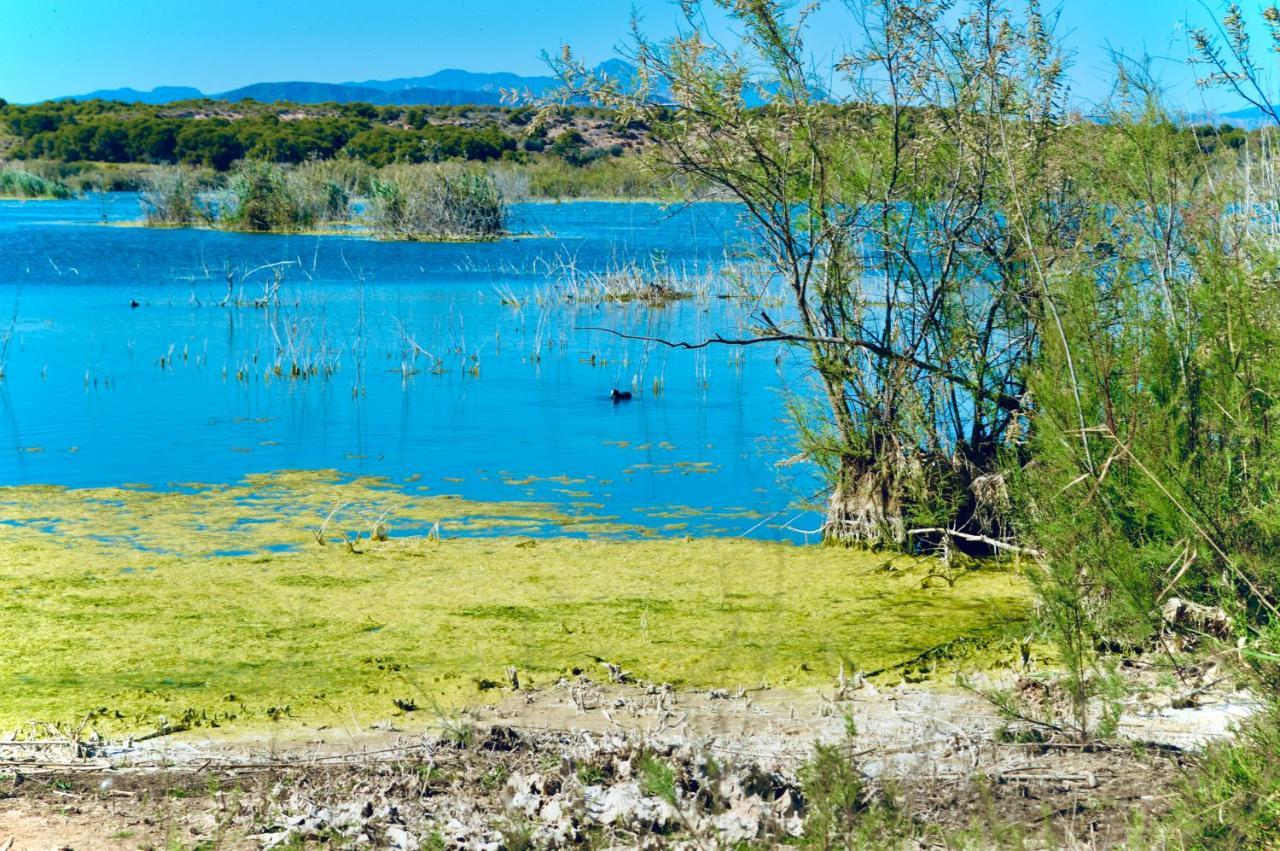 Refugio De Tranquilidad En Holiday home Gran Alacant